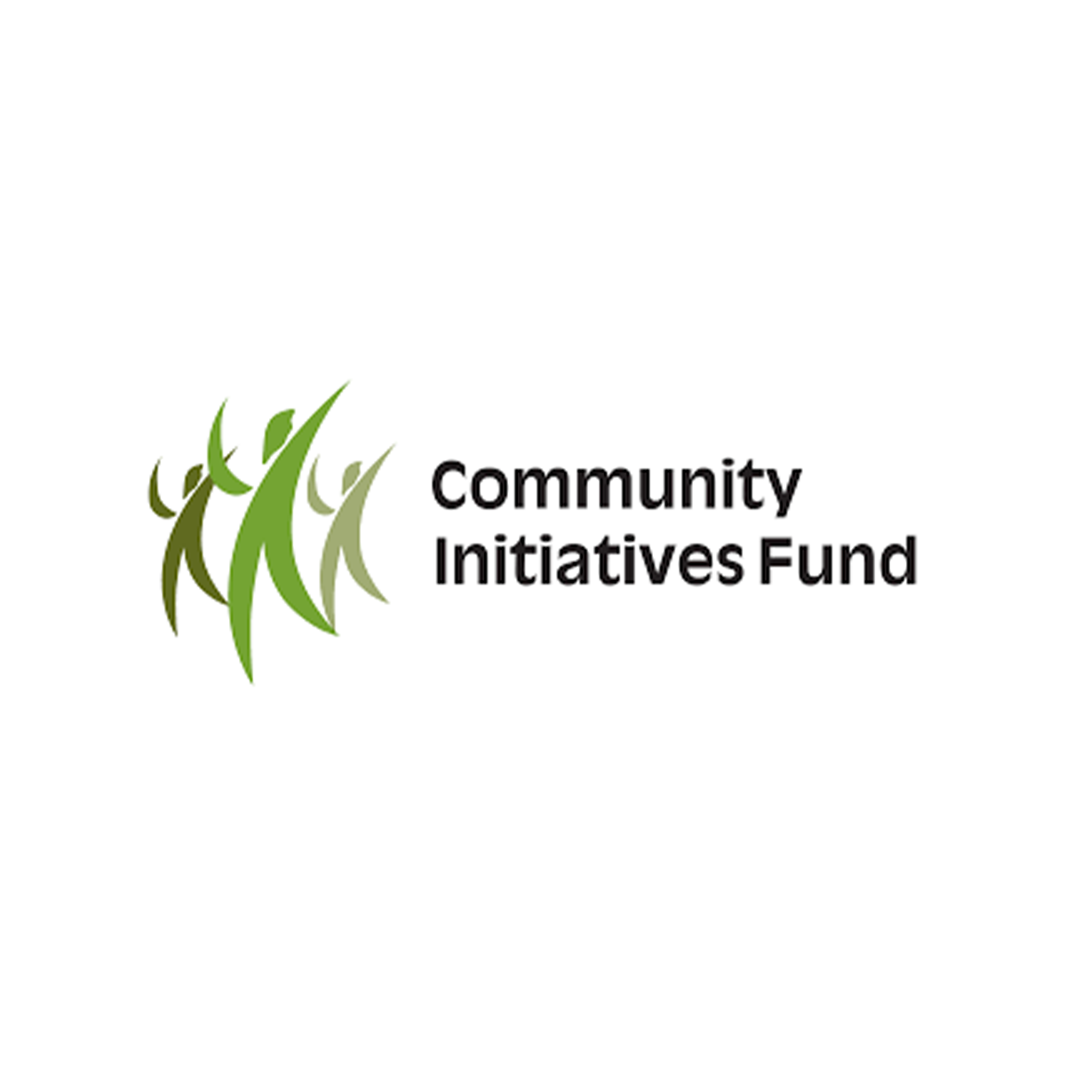 community initiatives fund